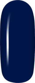 DNA Navy 2124